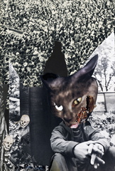 050