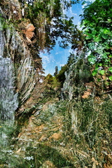 DSC 0009