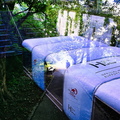 DSC 0240