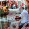 DSC 0641