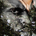 BS7 0697