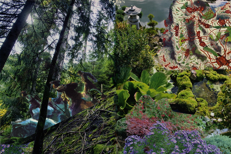 29x42cm 116.jpg